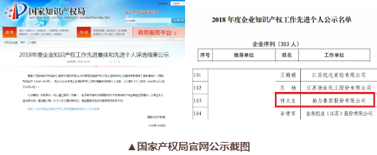 喜訊丨揚(yáng)力集團(tuán)總工程師仲太生榮獲“2018年度企業(yè)知識(shí)產(chǎn)權(quán)工作先進(jìn)個(gè)人”榮譽(yù)稱號(hào)！